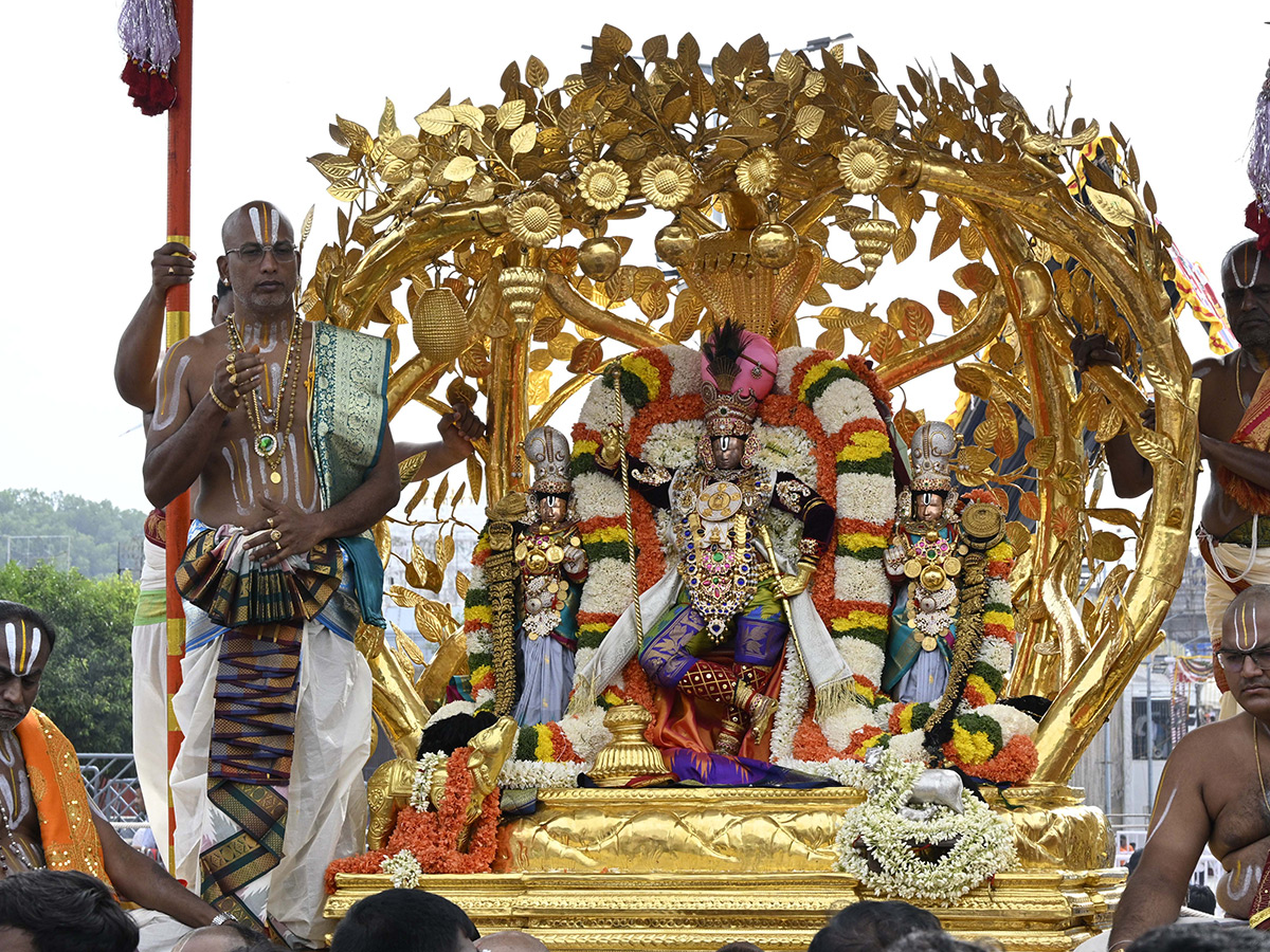 Kalpavruksha Vahana Seva : Tirumala Srivari Salakatla Brahmotsavams19