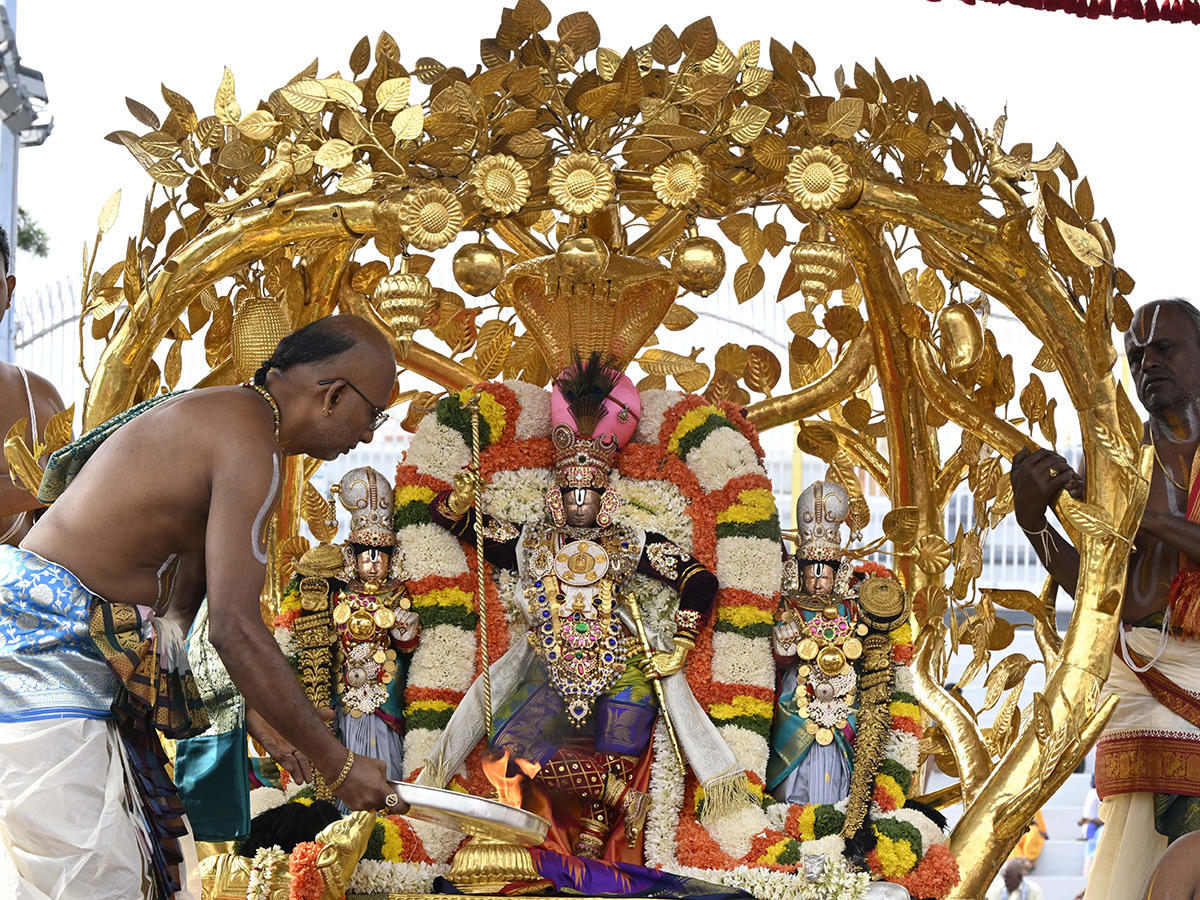 Kalpavruksha Vahana Seva : Tirumala Srivari Salakatla Brahmotsavams2