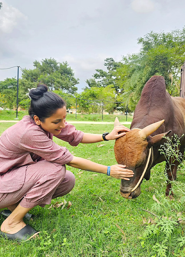 In Harmony with Nature Srinidhi Beautiful Memories photos3