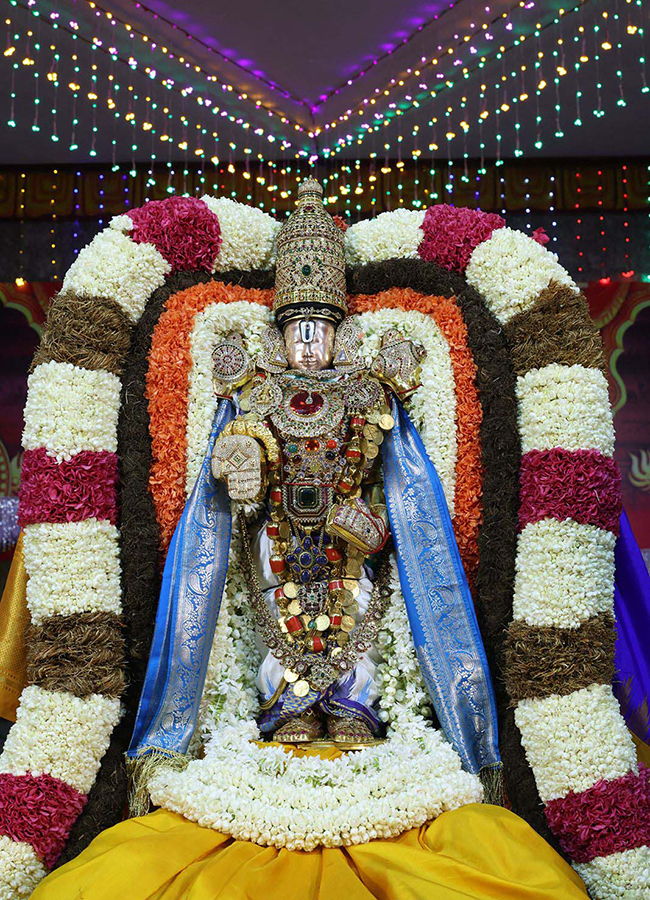 Tirumala Brahmotsavam 2026 : Sri Malayappa Swamy in Gaja Vahanam3