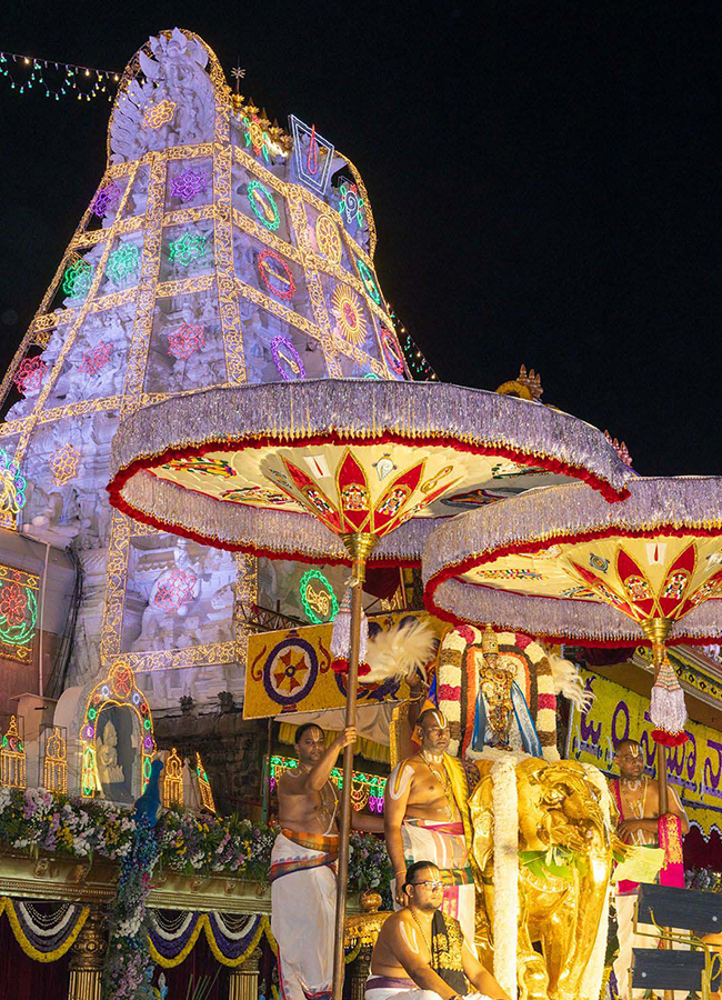 Tirumala Brahmotsavam 2026 : Sri Malayappa Swamy in Gaja Vahanam6