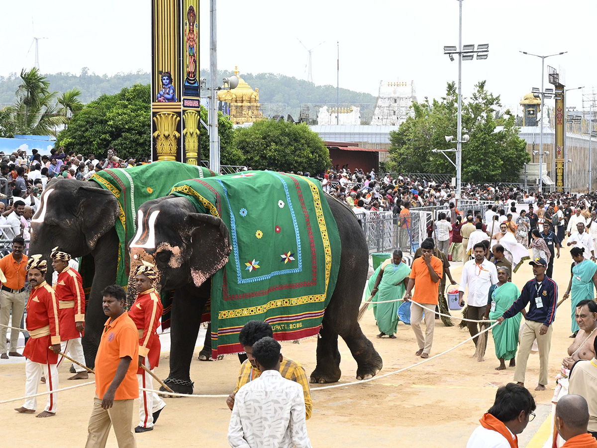 Annual Salakatla Rathotsavam Brahmotsavams in Tirumala 12