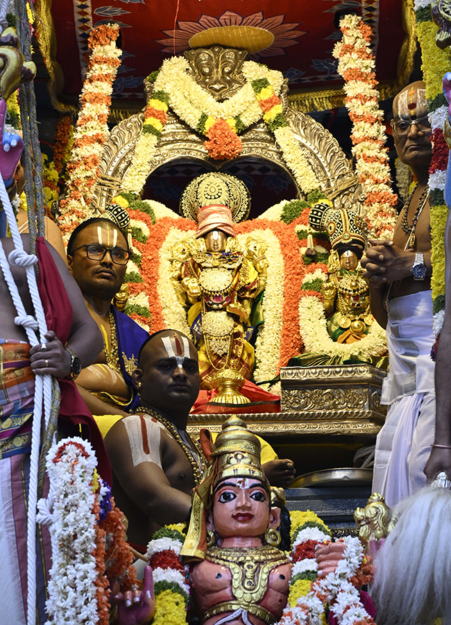 Annual Salakatla Rathotsavam Brahmotsavams in Tirumala 16