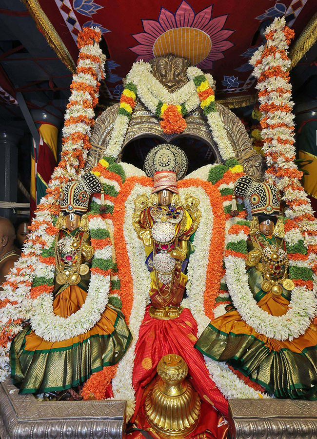 Annual Salakatla Rathotsavam Brahmotsavams in Tirumala 17