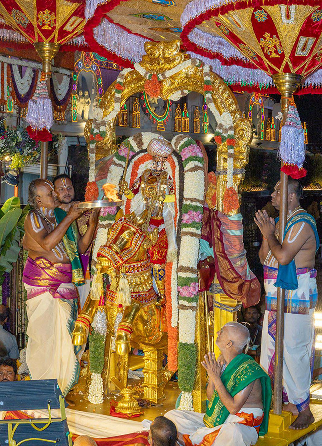 Tirumala : Aswa Vahana Seva At Salakatla Brahmotsavam Photos13
