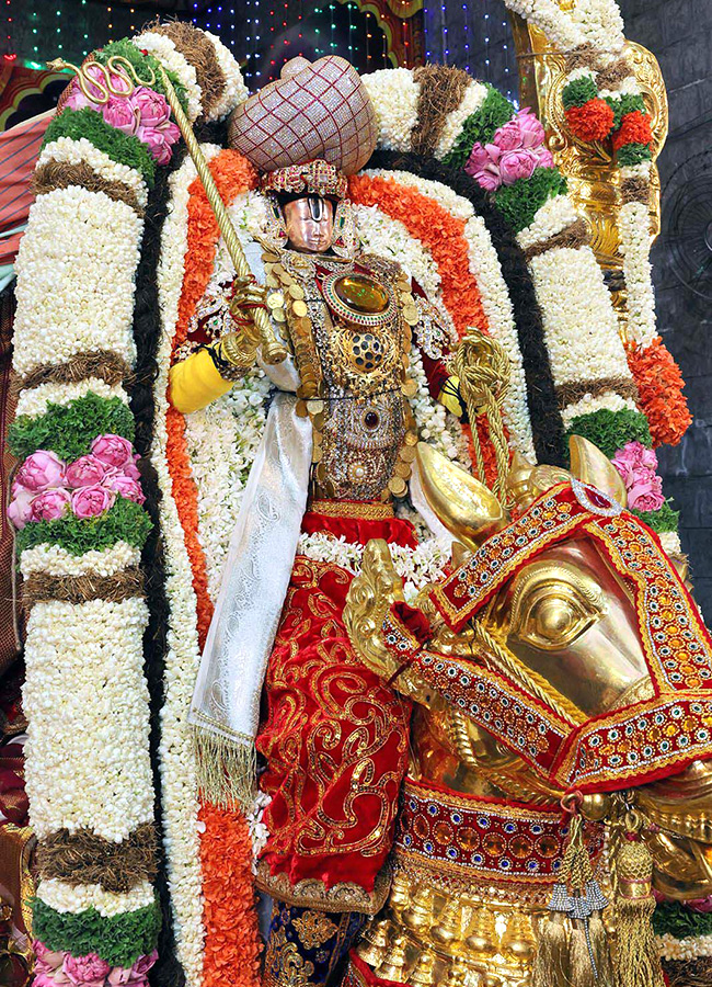 Tirumala : Aswa Vahana Seva At Salakatla Brahmotsavam Photos22