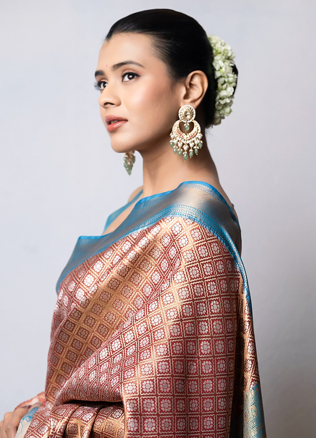 Hebah Patel Shines in a Silk Saree5