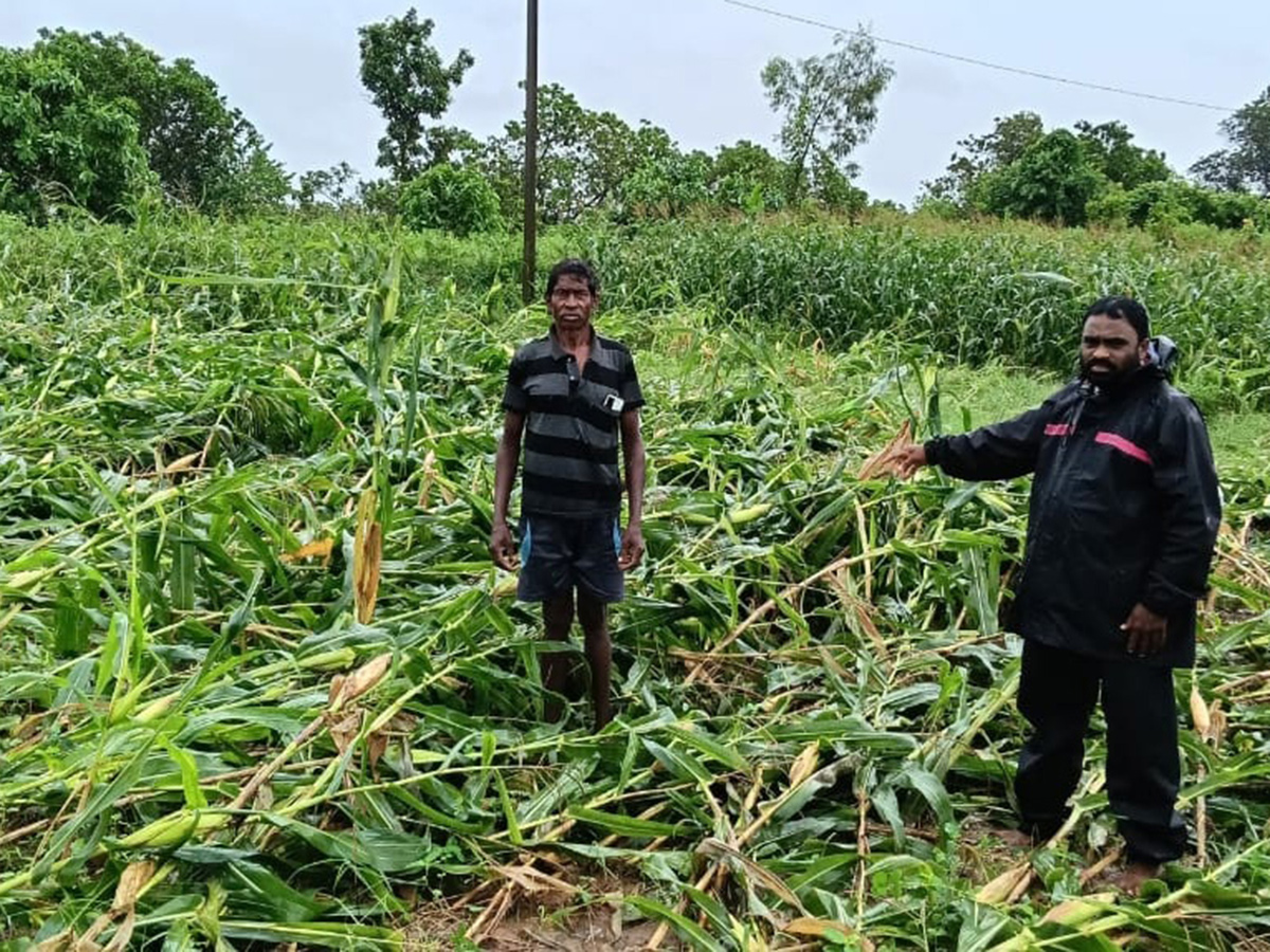 heavy rain in srikakulam Photo Gallery14