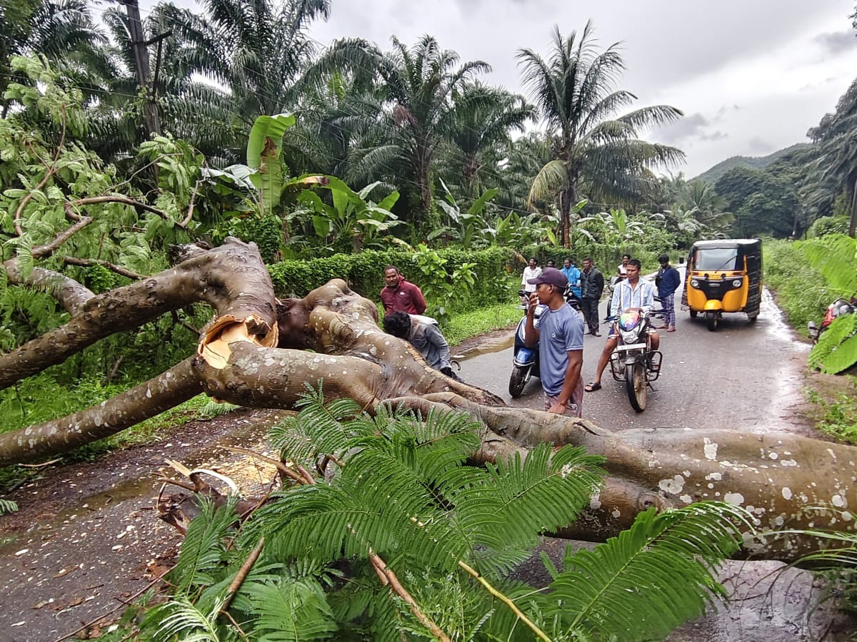 heavy rain in srikakulam Photo Gallery17