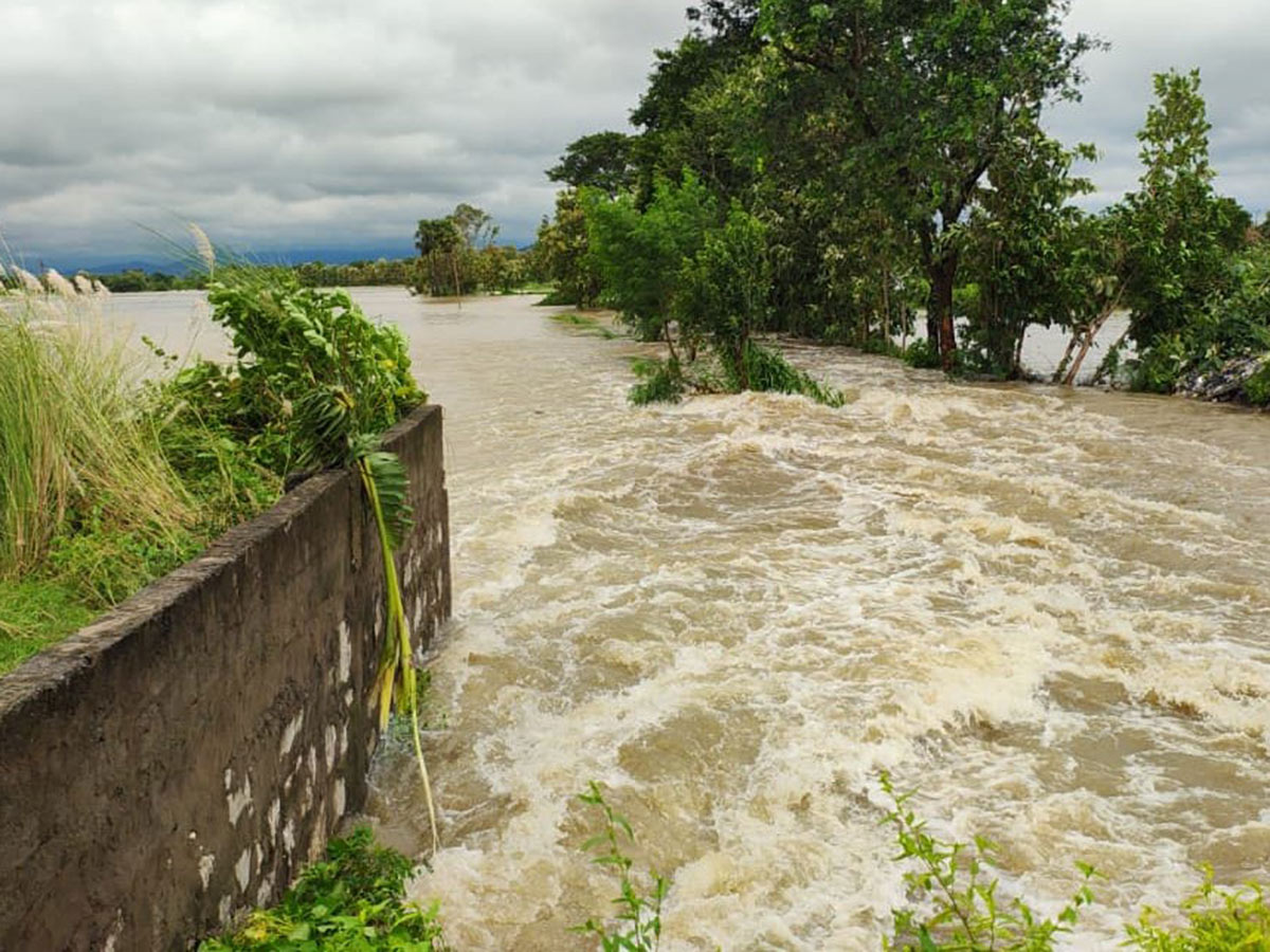 heavy rain in srikakulam Photo Gallery24