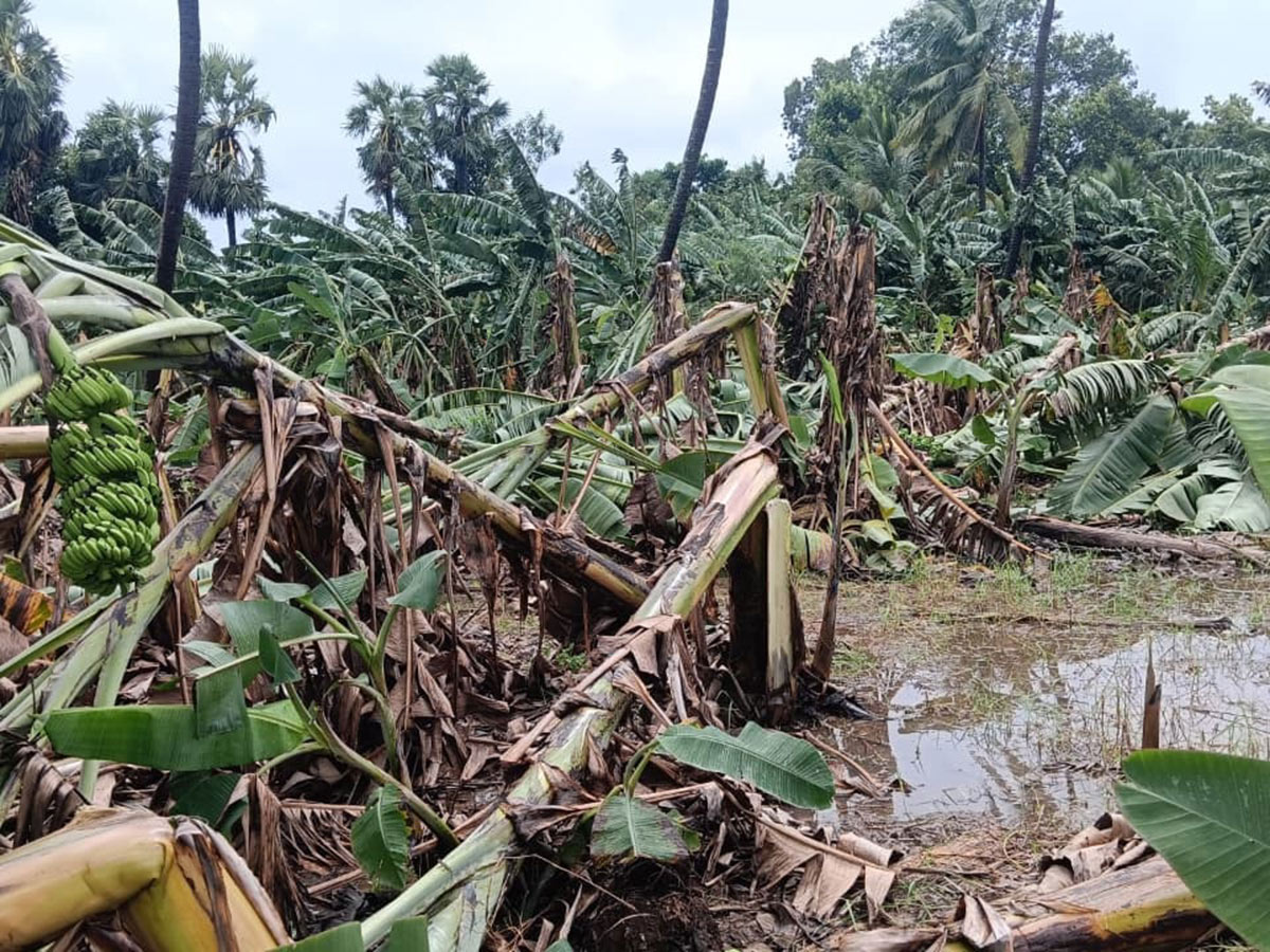 heavy rain in srikakulam Photo Gallery26