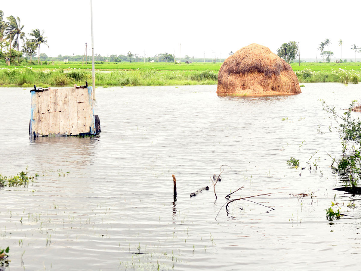 heavy rain in srikakulam Photo Gallery32