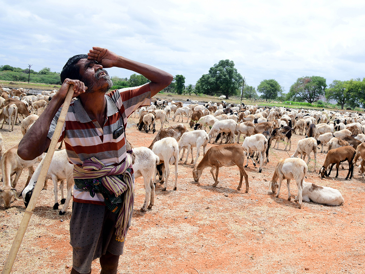 Best Photos of The Week in AP and Telangana Photo Gallery2