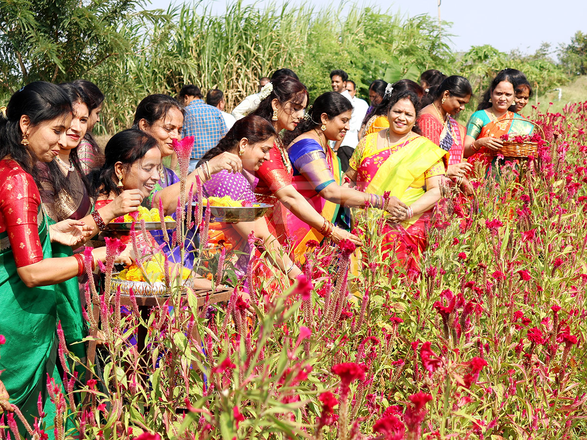 Bathukamma Celebrations 2026 Hyderabad HD Photos23