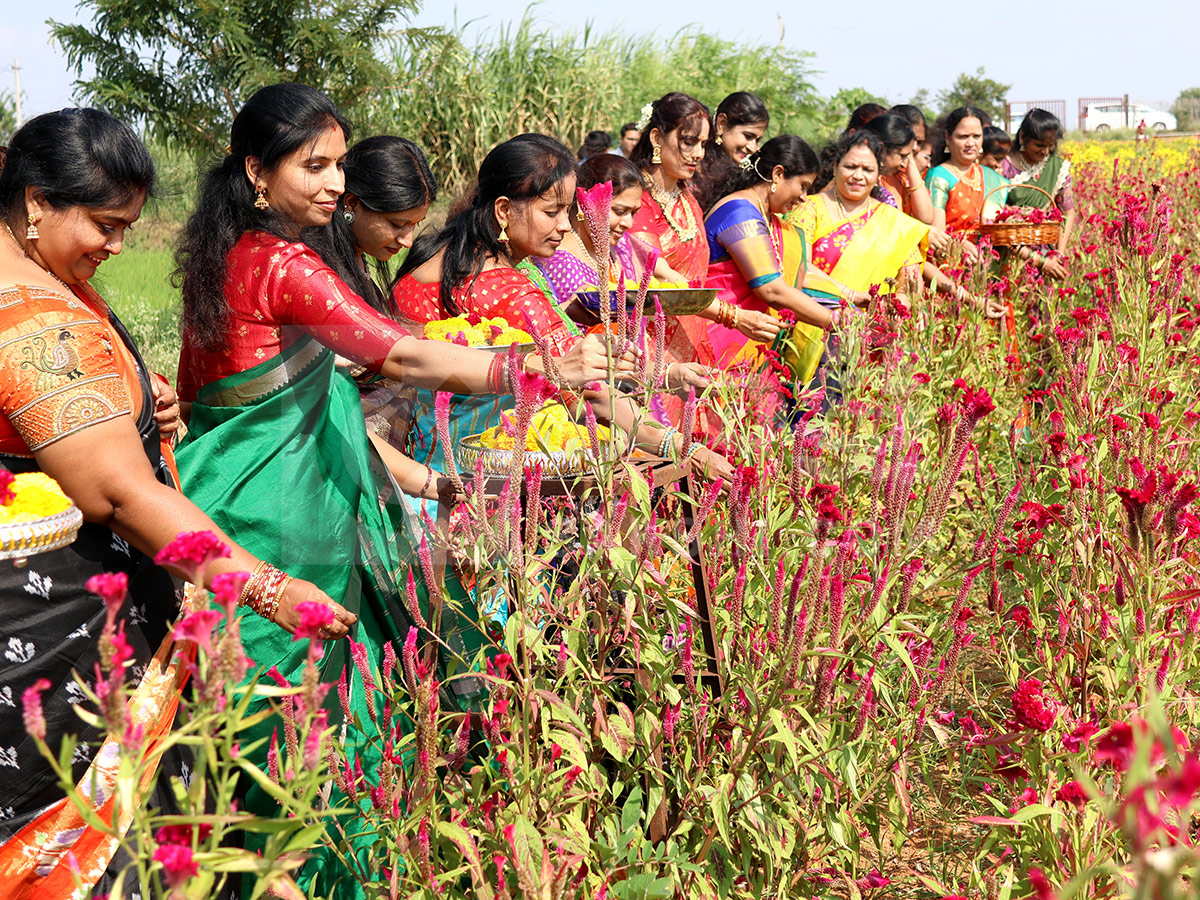 Bathukamma Celebrations 2026 Hyderabad HD Photos5