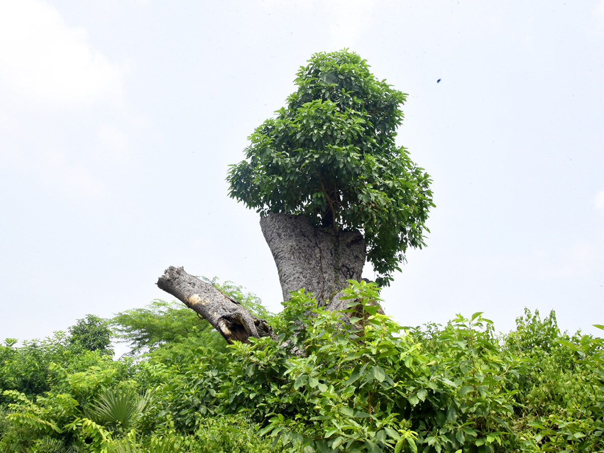 Images of The Week in AP and Telangana HD Photos23