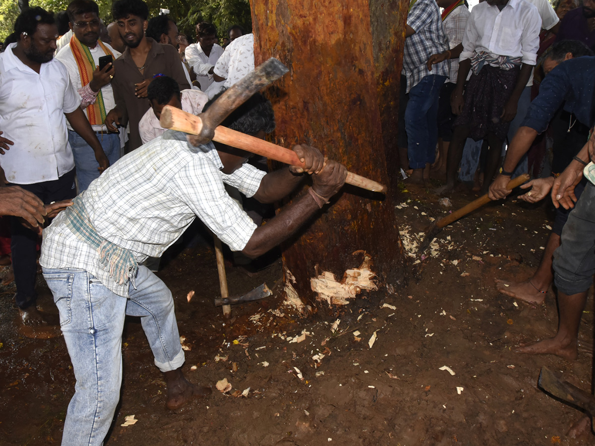 Devotional : Paidi Thalli Sirimanotsavam In Vizianagaram HD Photos16