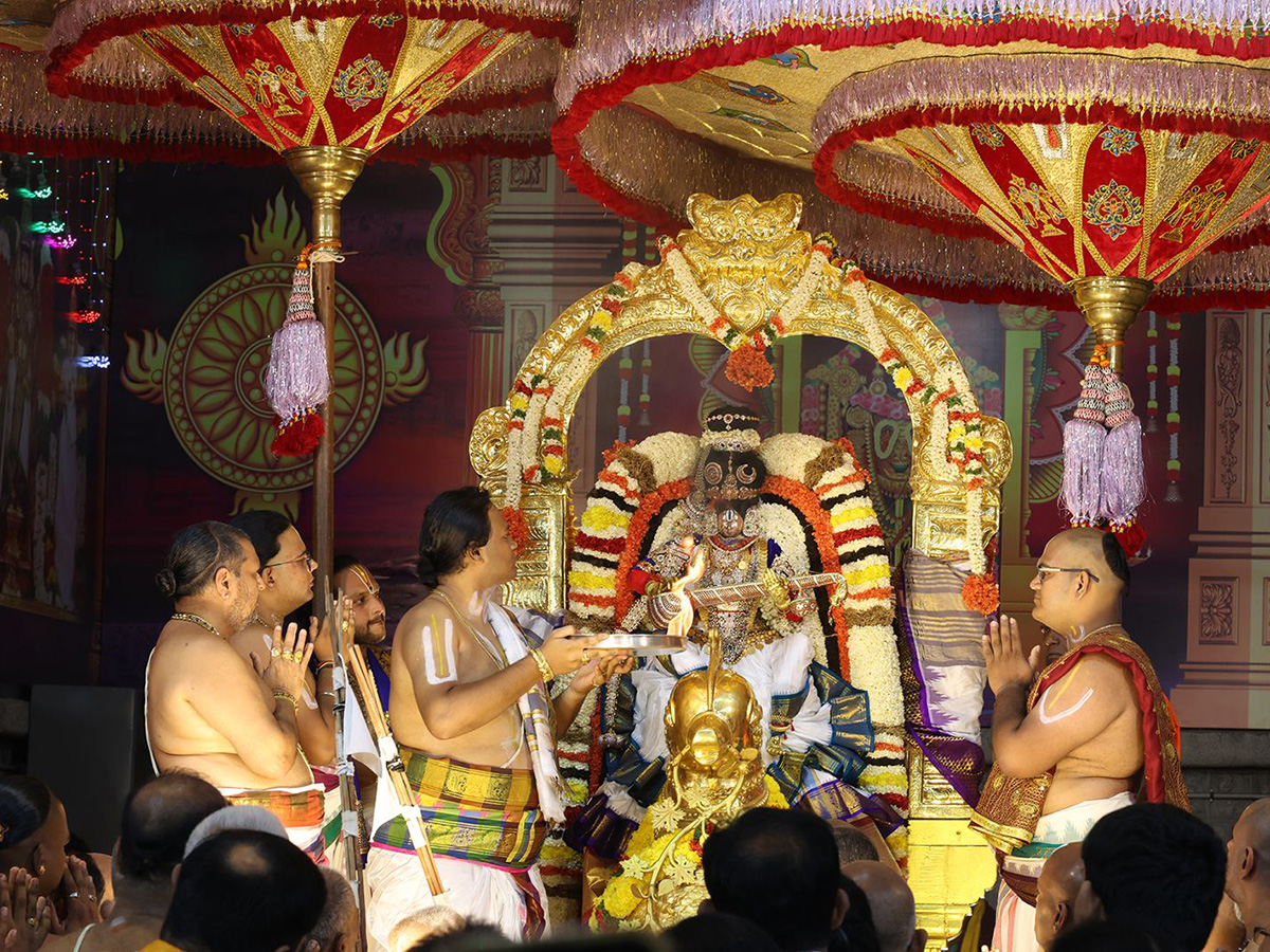 Dussehra 2026 : Hamsa Vahanam Seva in Tirumala HD Photos3