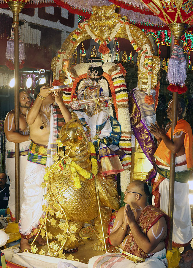 Dussehra 2026 : Hamsa Vahanam Seva in Tirumala HD Photos9