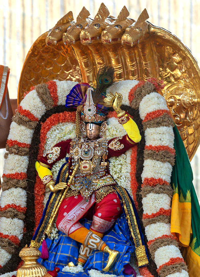 Tirumala : Sri Malayappa Swamy Chinna Sesha Vahanam HD Photos16