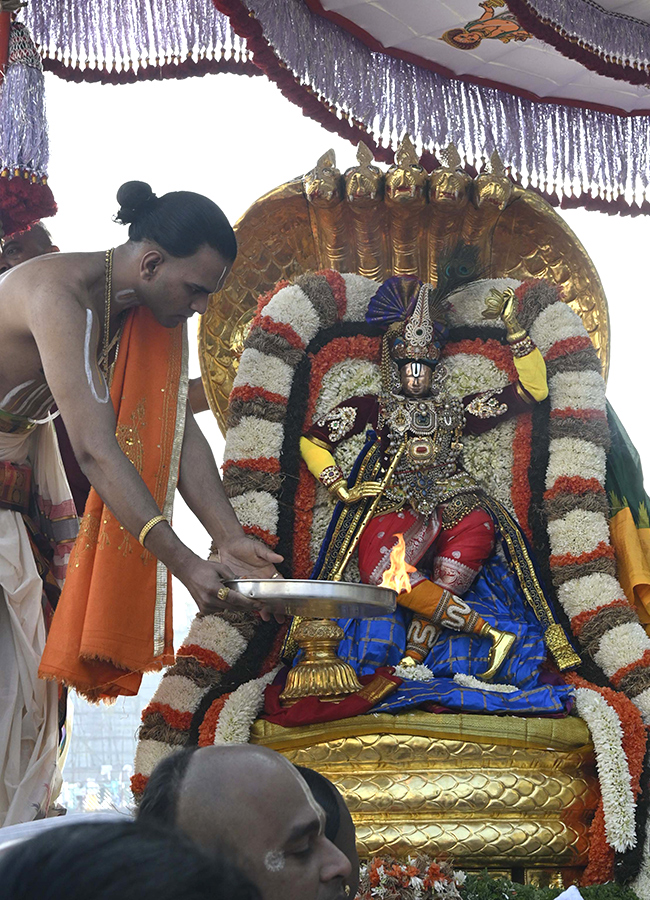 Tirumala : Sri Malayappa Swamy Chinna Sesha Vahanam HD Photos19