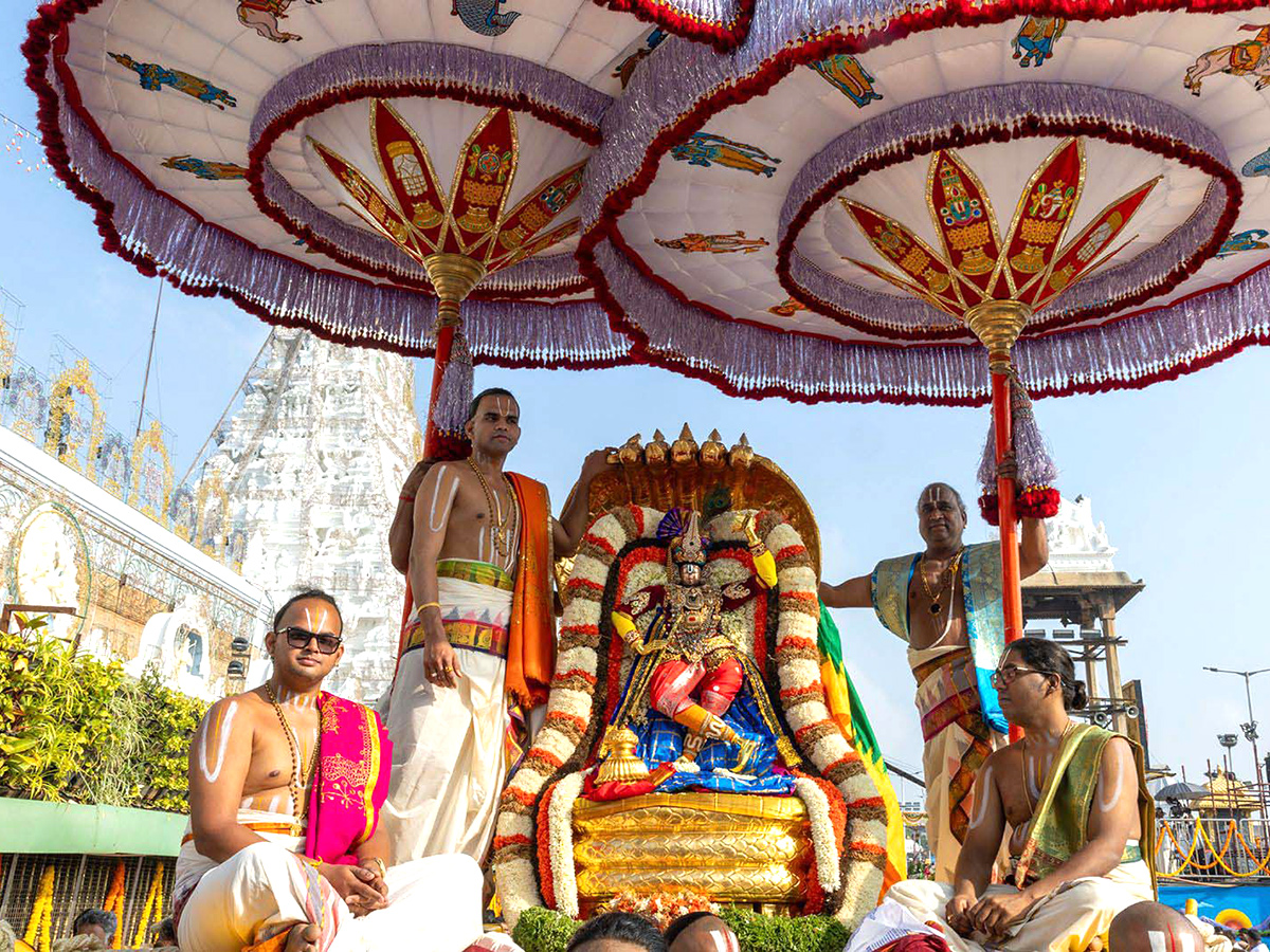 Tirumala : Sri Malayappa Swamy Chinna Sesha Vahanam HD Photos2