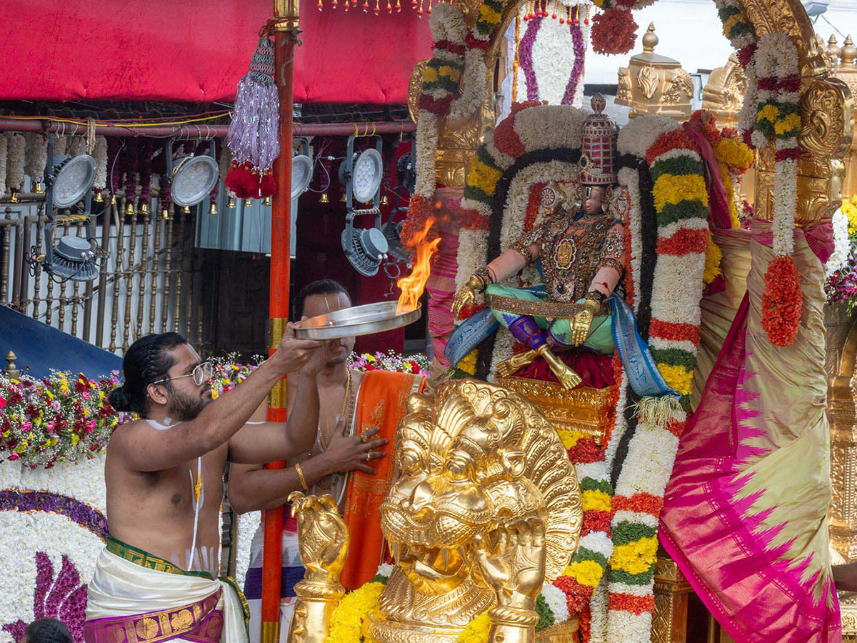 Simha vahana Sri Vari Bramotsavams at Tirumala6