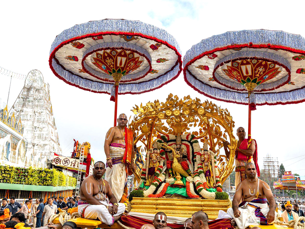 Lord Venkateswara on Kalpavriksha Vahanam1