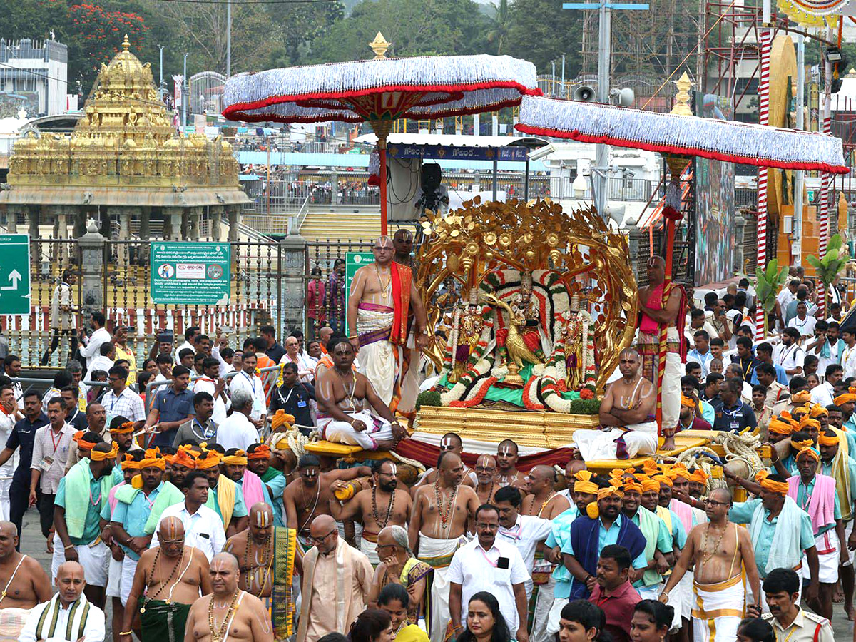 Lord Venkateswara on Kalpavriksha Vahanam2