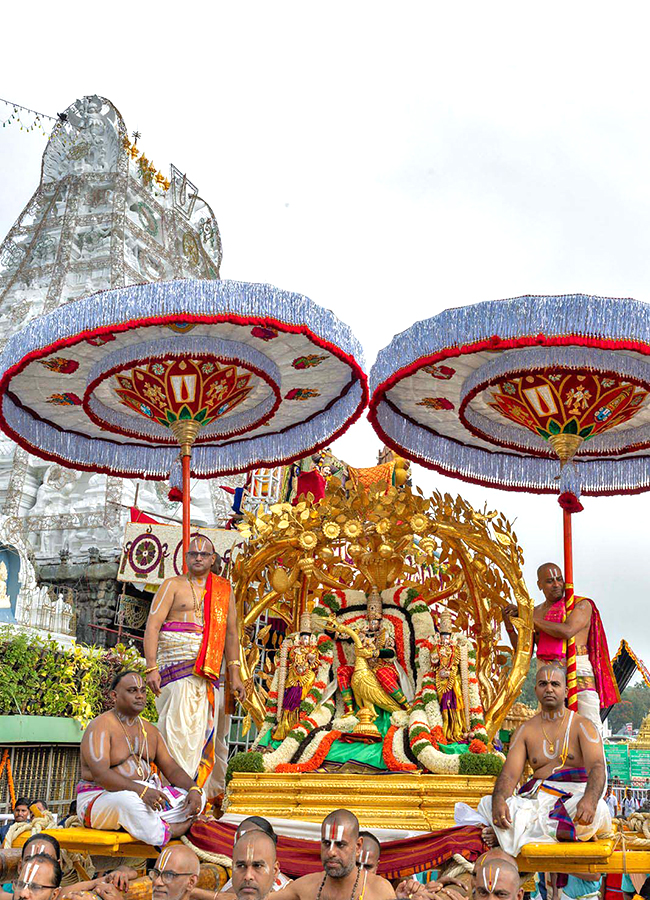 Lord Venkateswara on Kalpavriksha Vahanam23