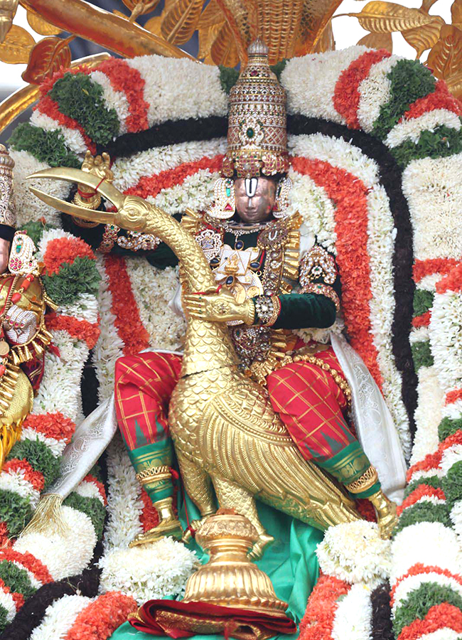 Lord Venkateswara on Kalpavriksha Vahanam24