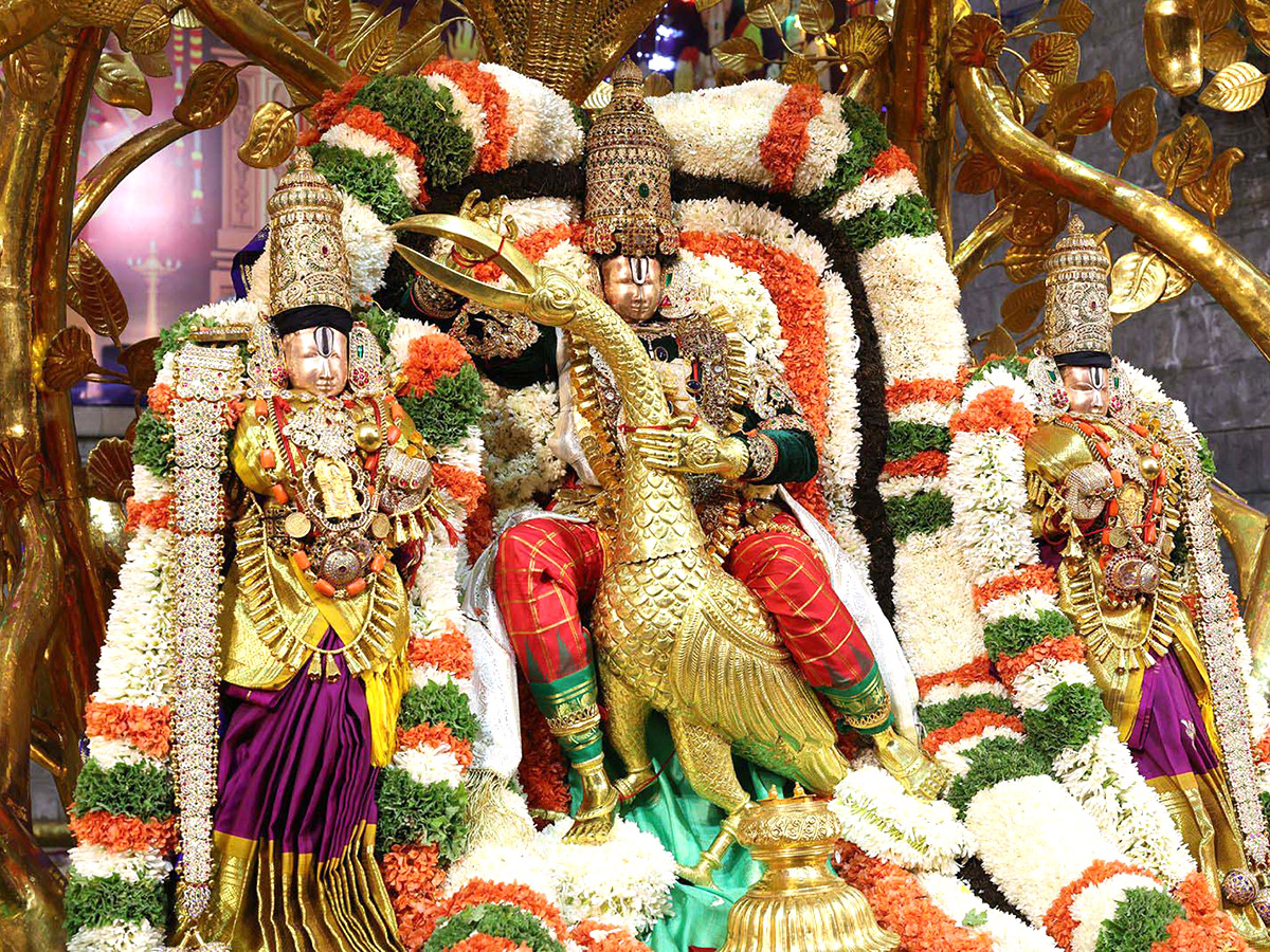 Lord Venkateswara on Kalpavriksha Vahanam3