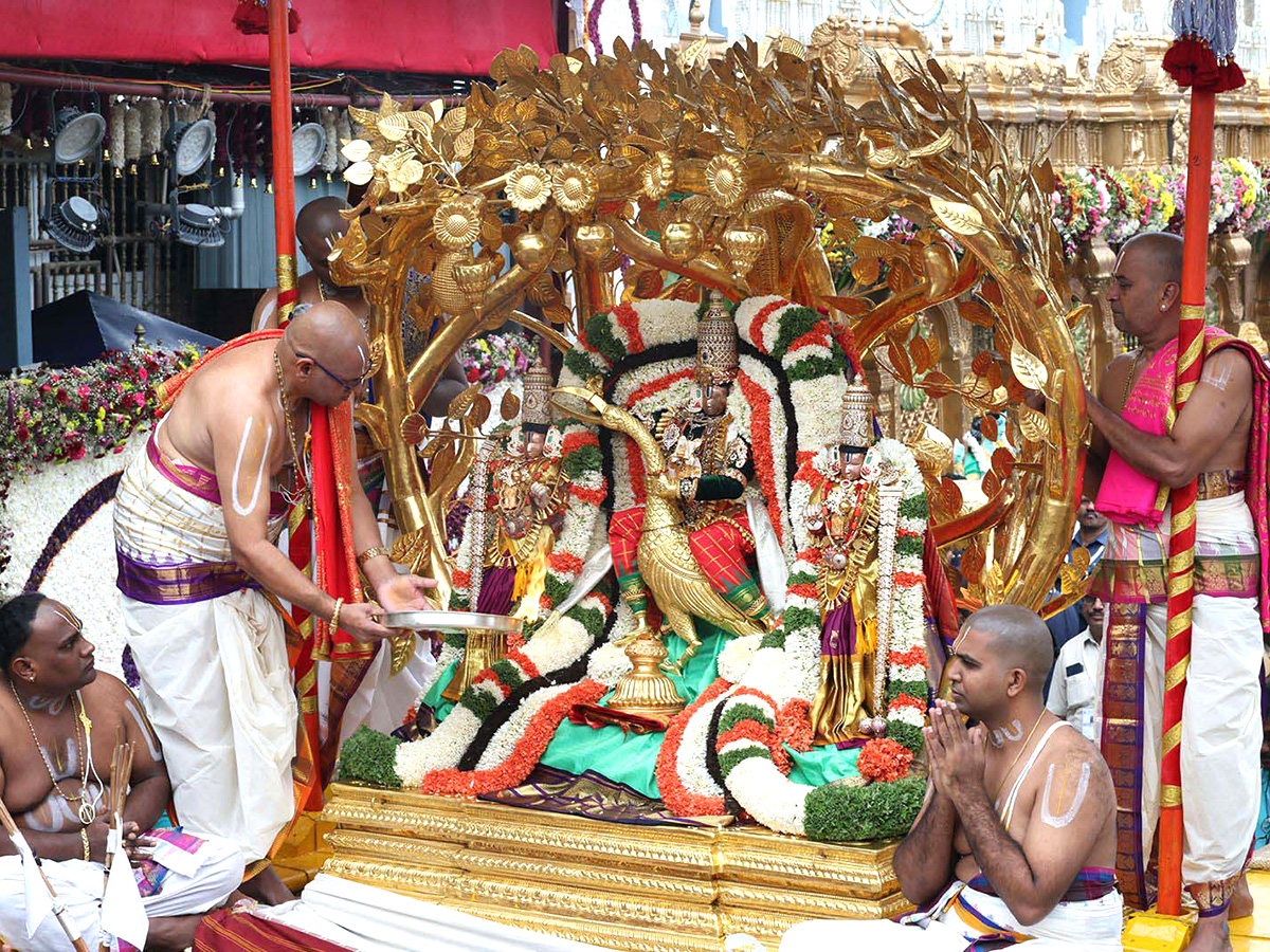 Lord Venkateswara on Kalpavriksha Vahanam31