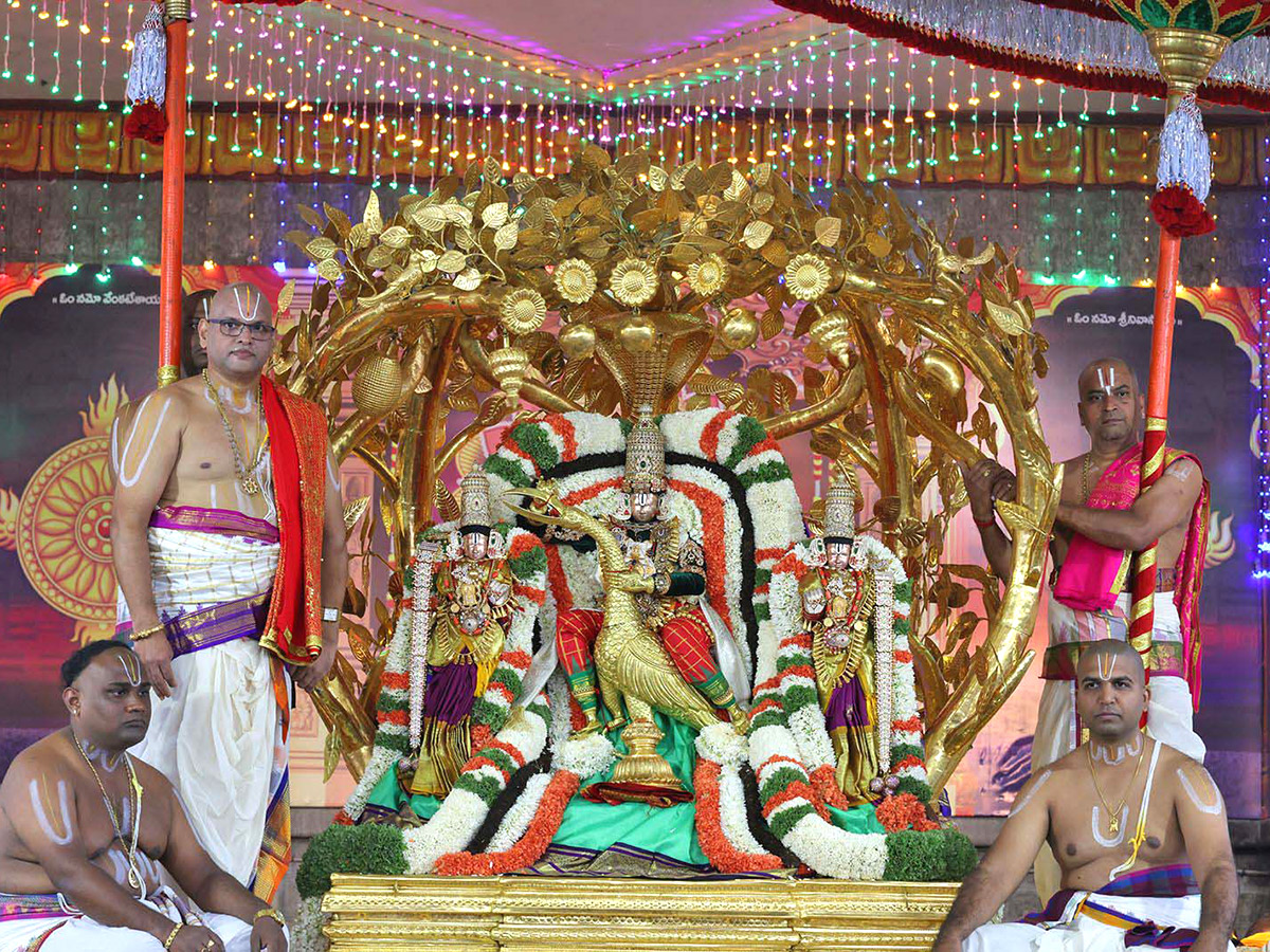 Lord Venkateswara on Kalpavriksha Vahanam4
