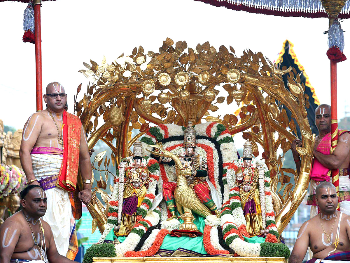 Lord Venkateswara on Kalpavriksha Vahanam5