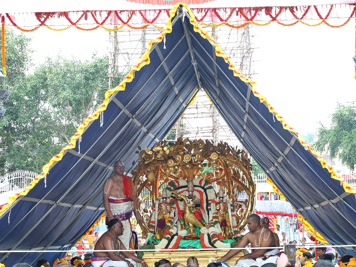 Lord Venkateswara on Kalpavriksha Vahanam6