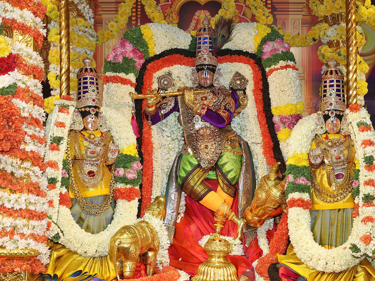 Tirumala : Sarvabhoopala Vahanam Srivari Brahmotsavam2