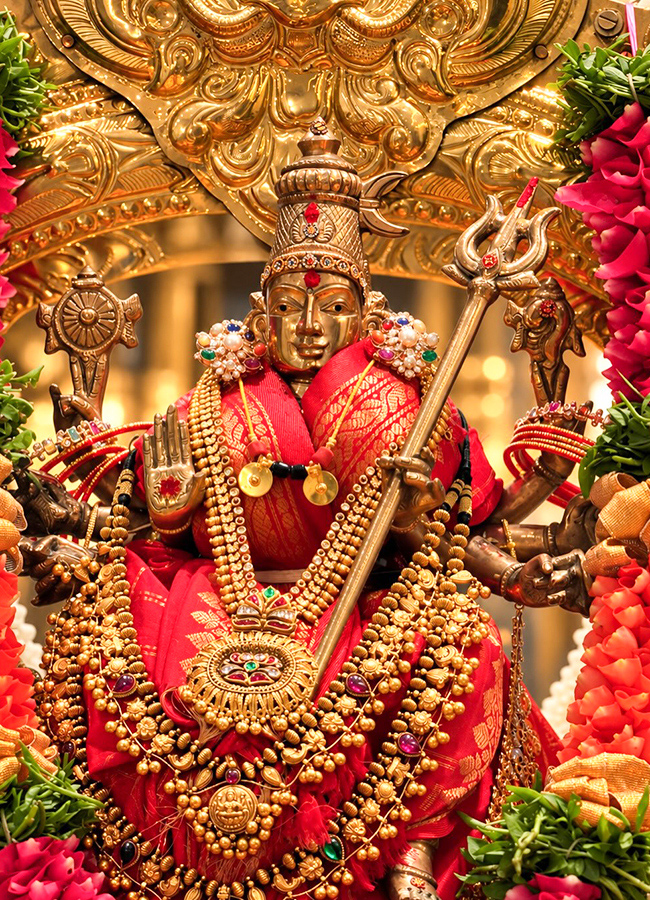 Director Maruthi Performs Navratri Puja at Home13