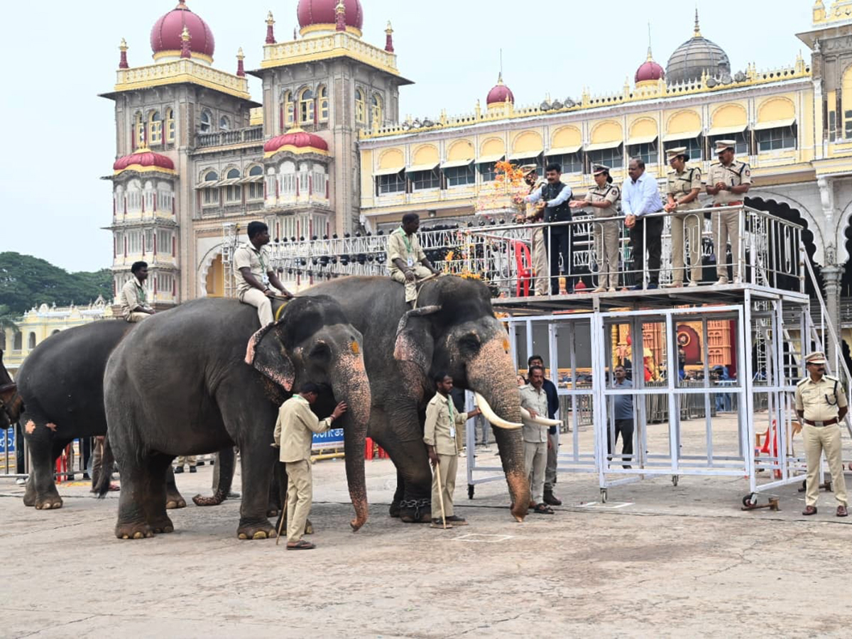 Dussehra 2026 Celebrations in Mysore HD Photos1