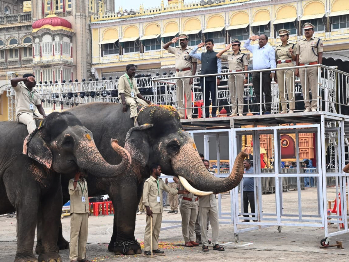 Dussehra 2026 Celebrations in Mysore HD Photos10