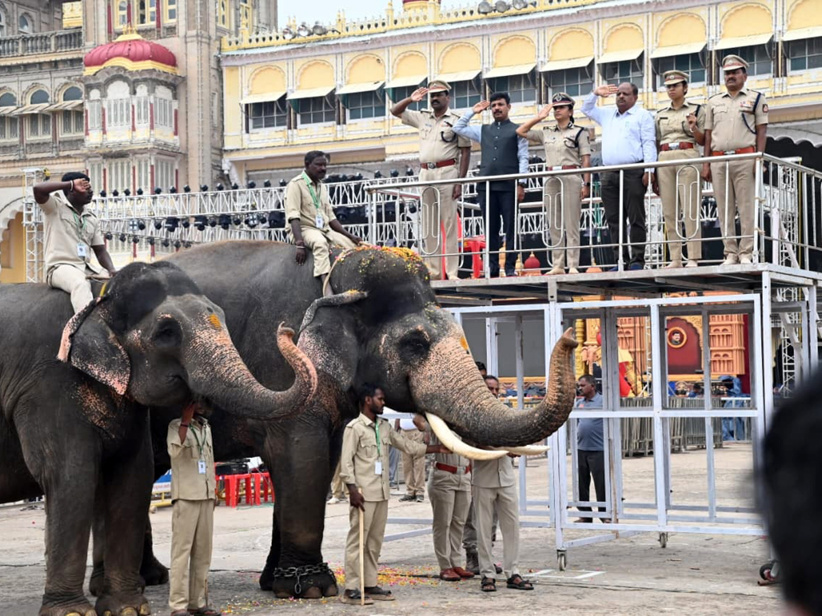 Dussehra 2026 Celebrations in Mysore HD Photos12