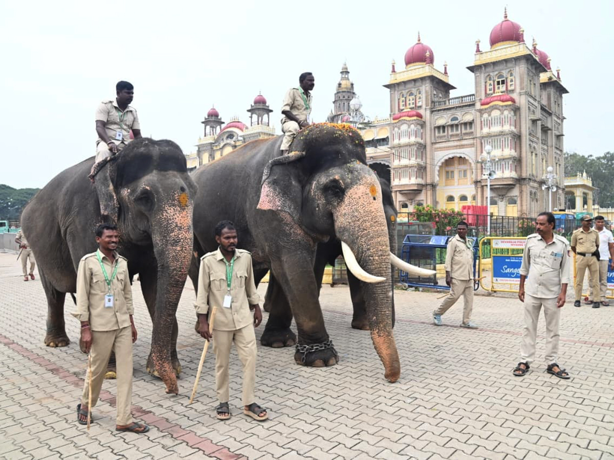 Dussehra 2026 Celebrations in Mysore HD Photos2