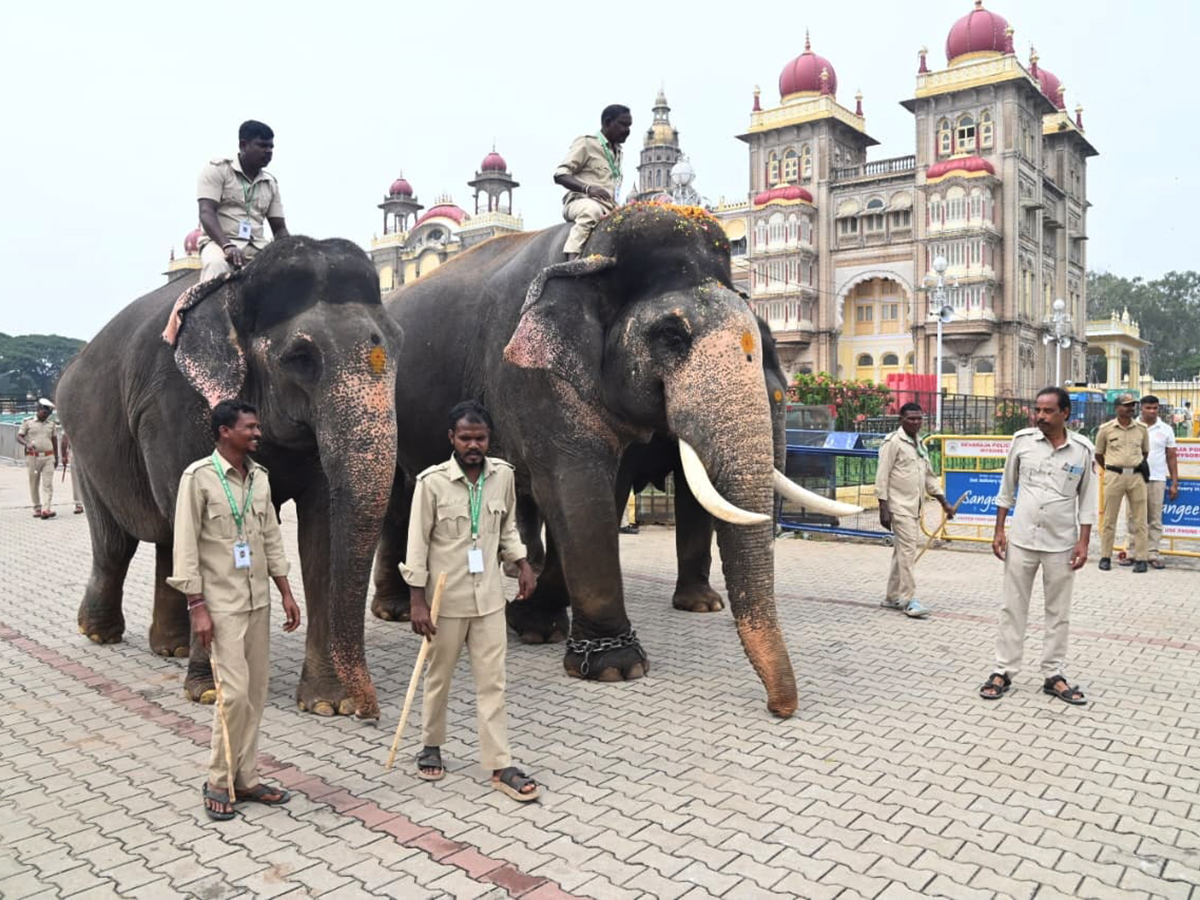 Dussehra 2026 Celebrations in Mysore HD Photos4