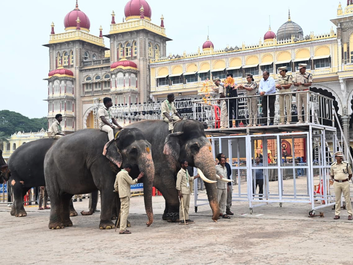 Dussehra 2026 Celebrations in Mysore HD Photos6