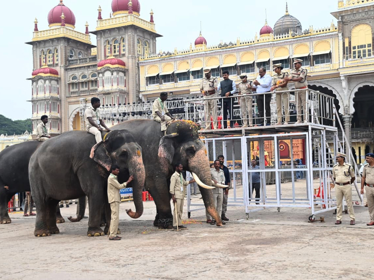 Dussehra 2026 Celebrations in Mysore HD Photos9