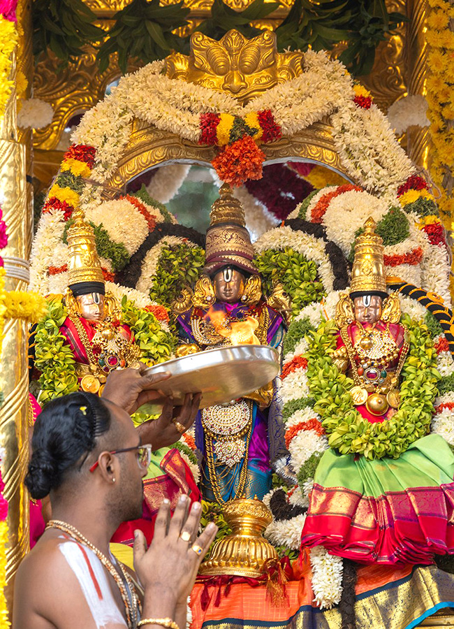 Navratri Brahmotsavam in Tirumala HD Photos20