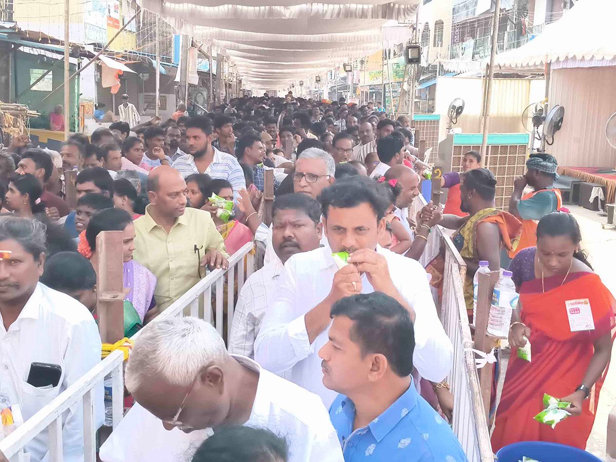 Tirupati : Venkatagiri Poleramma Jatara Photos10