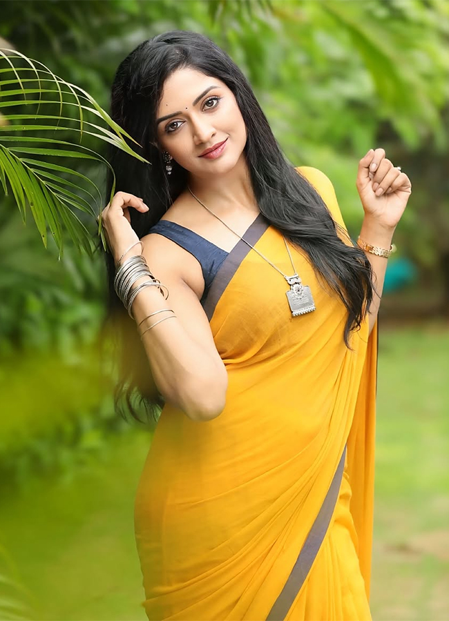 Vimala Raman Beautiful In Traditional Indian Saree10