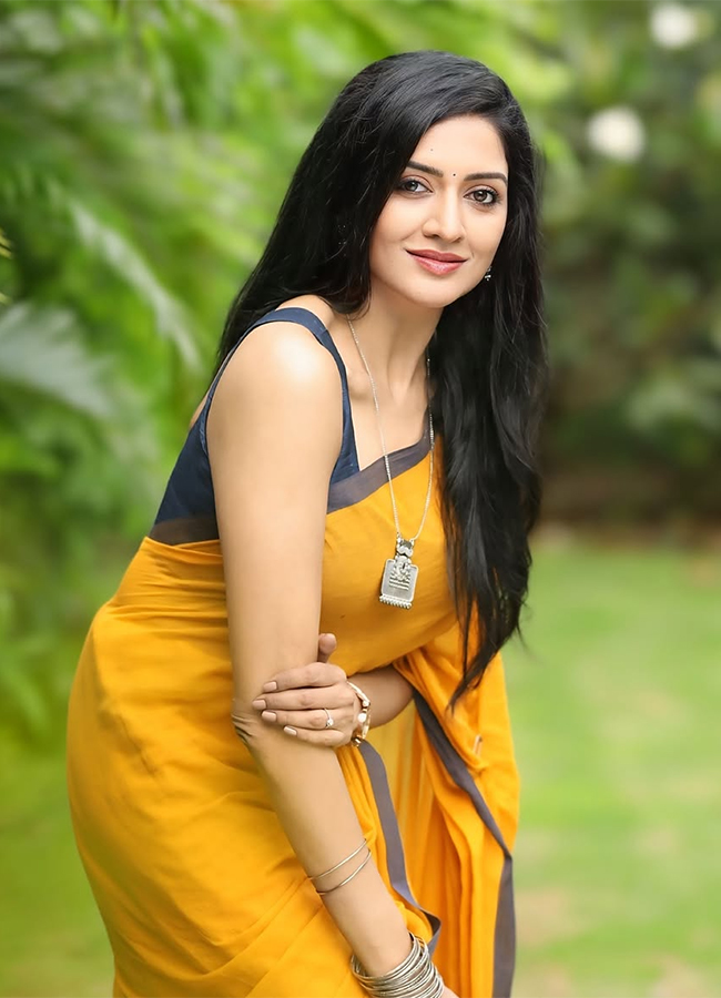 Vimala Raman Beautiful In Traditional Indian Saree12