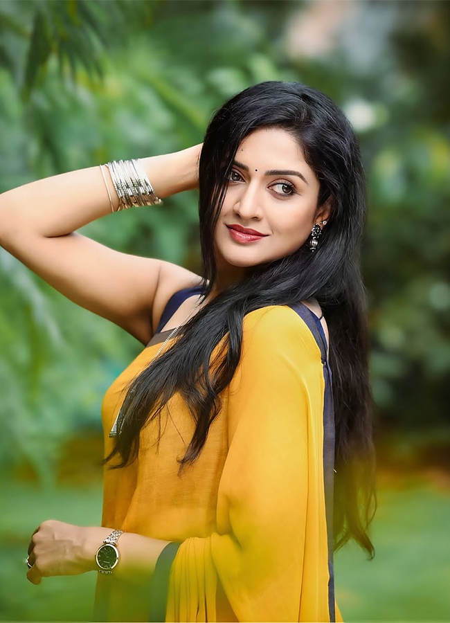 Vimala Raman Beautiful In Traditional Indian Saree7